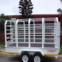 2.6 ton Cattle Trailer